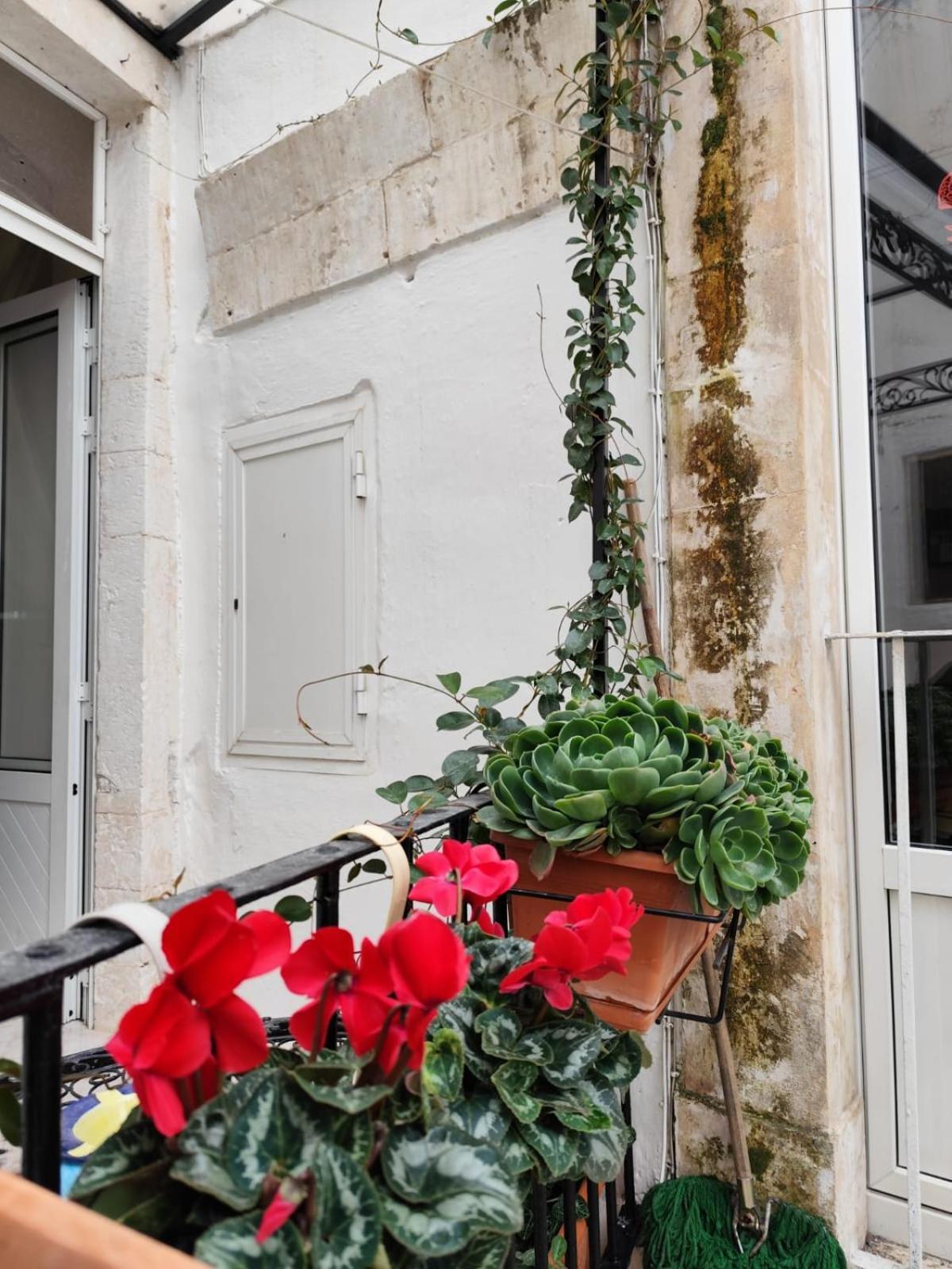 Le Mie Meraviglie Martina Franca Exterior foto